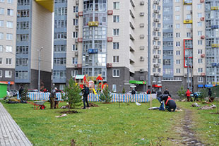 Озеленение ЖК «Спасский мост»