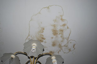 Как купить дом