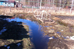 Плохой земельный участок