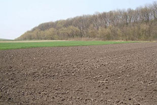 Аренда земли у города под сельское хозяйство