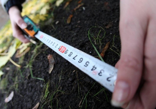 Процесс оценки земли