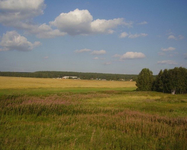 Бесплатное получение земли многодетной семьёй