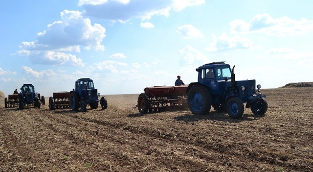 Сельскохозяйственные земли Сельскохоз земли